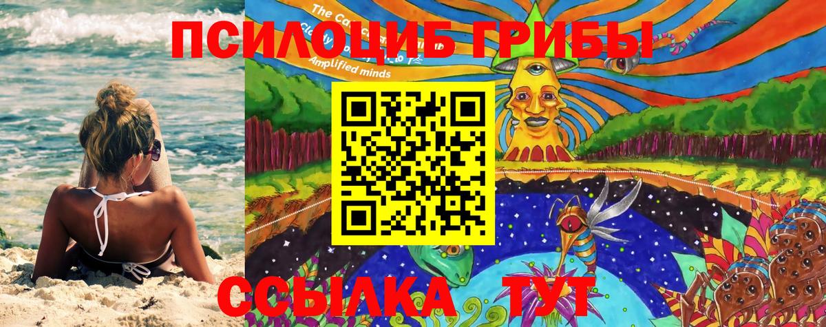 Галлюциногенные грибы Psilocybe  где продают   Новоуральск  Вход с VPN 